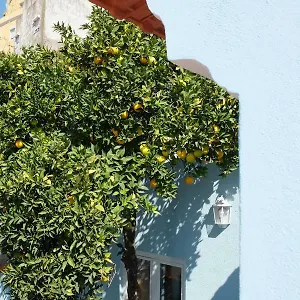 Proa D'alfama , Lisbon Portugal